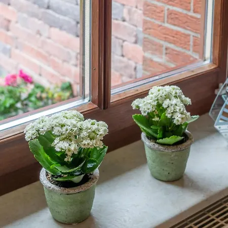 Gulfhof Alt-addenhausen